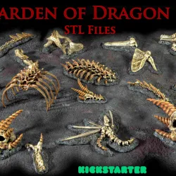 Dragon Bones Basic