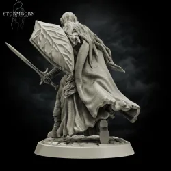 Elven Warrior