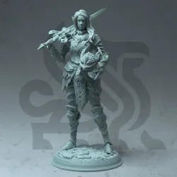Fey Elf Paladin - Celathyn