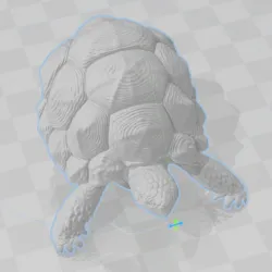 Indian Star Turtle Ornament