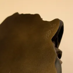 Lion Face Wall Art
