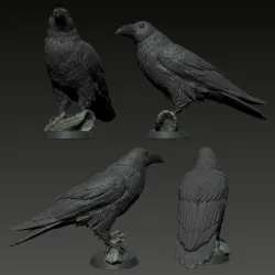 Raven