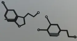 Serotonin and Dopamine Shelves