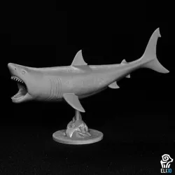 Shark Bundle - Animals