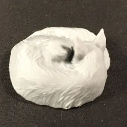 Sleeping cat