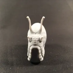 Snail