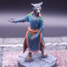 Tabaxi Monk - Amalya - 28/32mm and 75mm