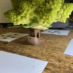 Trippi Tree
