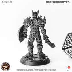 Valor Warrior