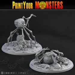 2 BONE SPIDERS