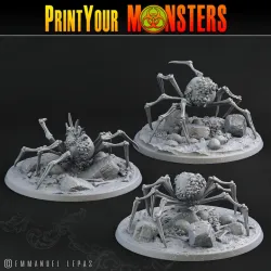 3 BONE SPIDERS