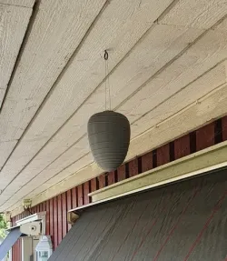 Beehive atrapp