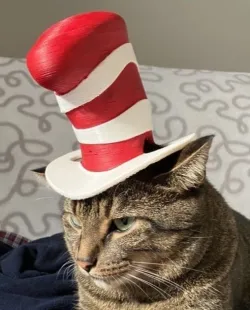 Cat in the Hat