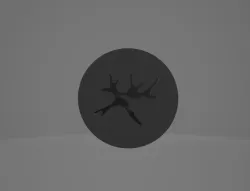 Dendrit Coaster