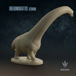 Dreadnoughtus schrani : Female