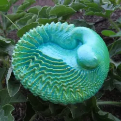 FeatherShell - a 3D fractal artifact