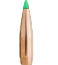 Full scale .308 Caliber Dummy Bullet/ model