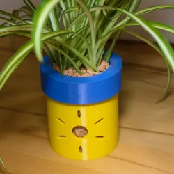 Hydroponic Plant Pot with sun.