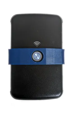 Pokefi Button Guard