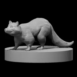 Raccoon Wizard and his Apprentice, Raccoon, and Raccoon Mount Minis!