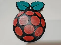 Raspberry Pi Logo