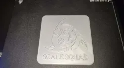 Scale Squad Coaster