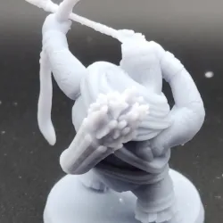 Sea Tortle Archer 2