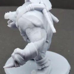 Sea Tortle -Champion 1