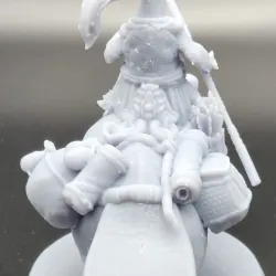 Sea Tortle Hippatee Rider Female