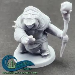 Sea Tortle Sorcerer