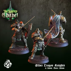 Silver Dragon Knights