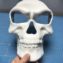 Skeletor mask