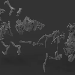 SPIDER QUEEN LAIR - SPIDER QUEEN BOSS