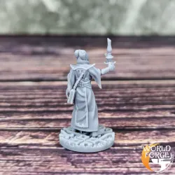 The Grand Librarian