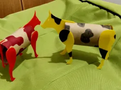 TP Cows