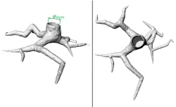 Tree base for scenography