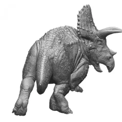 Triceratops