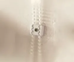 Blinds chain holder