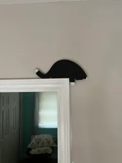 Cat door watchers