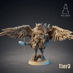 Druid Owlin