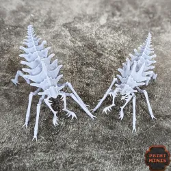 Erroish Beast Trainer and Sand Sprinters