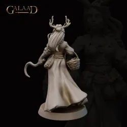 Female Druid of the forest