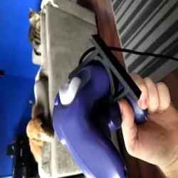 GameCube Controller Wall Mount