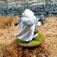 Guinea Cleric