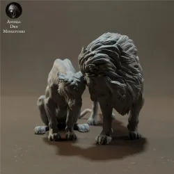 Lion and Lioness