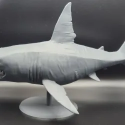 Megalodon