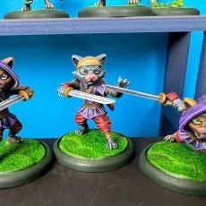 Ninja Cats Release