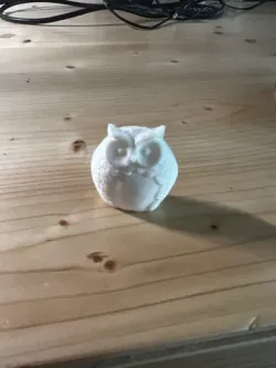 Owl Stature
