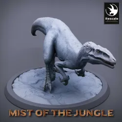 Pack Amazon Raptor Wild and Saddle