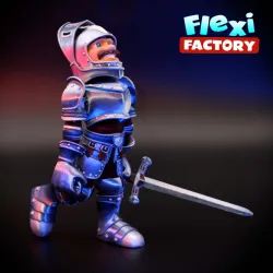 Public Release: Flexi Factory Knight